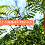 CADSPEC-SUMMER-PROMO-150x150 CADSPEC-SUMMER-PROMO-150x150